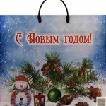 Пакет с пластиковыми ручками "Снежное настроение" 38*36