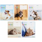 Тетрадь 12л клетка "Питомцы. So cute", Т12к_17865 /Спейс