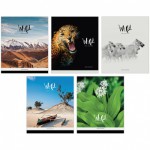 Тетрадь 48л клетка "Природа. Time to travel" Т48к_7718 /Спейс