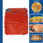 Сетка для овощей 30*45