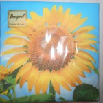 Салфетки Bouquet Original 20 листов Подсолнух 2сл р.33*33см