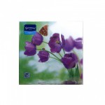 Салфетки Bouquet Original 20 листов Тюльпаны и бабочки 2сл р.33*33см