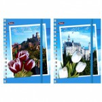Зап. книжка  120л. А6 "Романтика", на резинке 120ЗК6Вр1гр