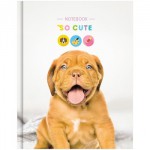 Тетрадь 24л клетка "Питомцы. So cute" Т24к_7630/Спейс