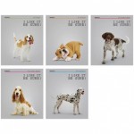 Тетрадь 40л линия "Питомцы. Dogs. I like it!" Т40л_7656