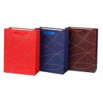 Пакет подарочный 18x25x8,5см, 3 дизайна, арт.600