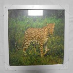 Картина 45*45 белая рамка