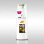 PANTENE Шампунь 250 Слияние с природой Oil therapy