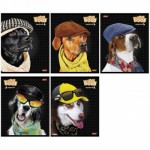 Тетрадь 48л клетка  &laquo;Fashion Dogs&raquo;, мел.картон, 48Т5В1 (Т167205)