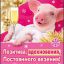 Кисть GALANTE д/подводки контура глаз, дерево, натурал.ворс пони, 15см, черный, 26905-19 5